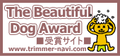 ȥޡʥӡThe Beautiful Dog Award