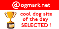 Cool dog site International Selected